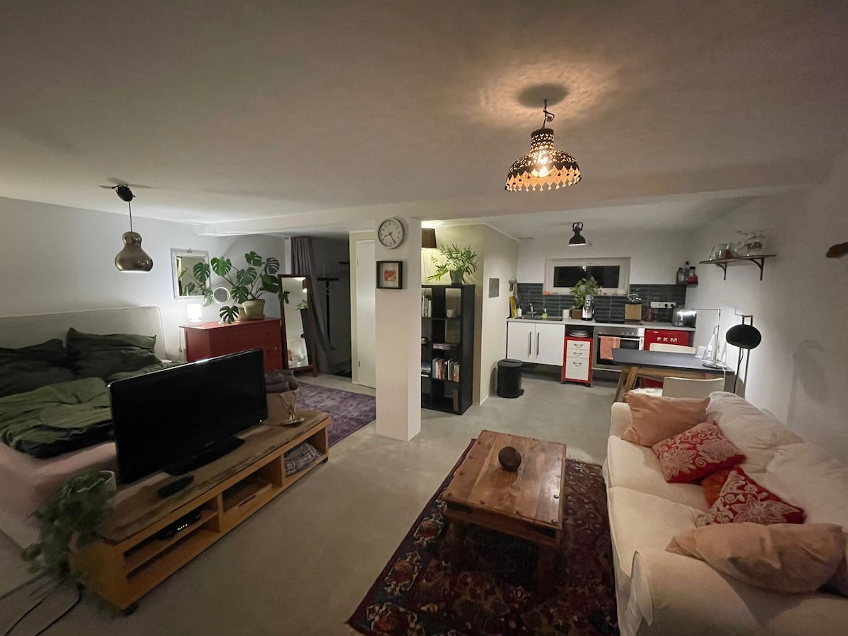 An open living space features a comfortable sleeping area with a bed dressed in dark linens. A well-equipped kitchen is visible, complemented by a cozy seating area with a plush sofa. Various plants add greenery throughout the space, and a stylish chandelier provides soft lighting.