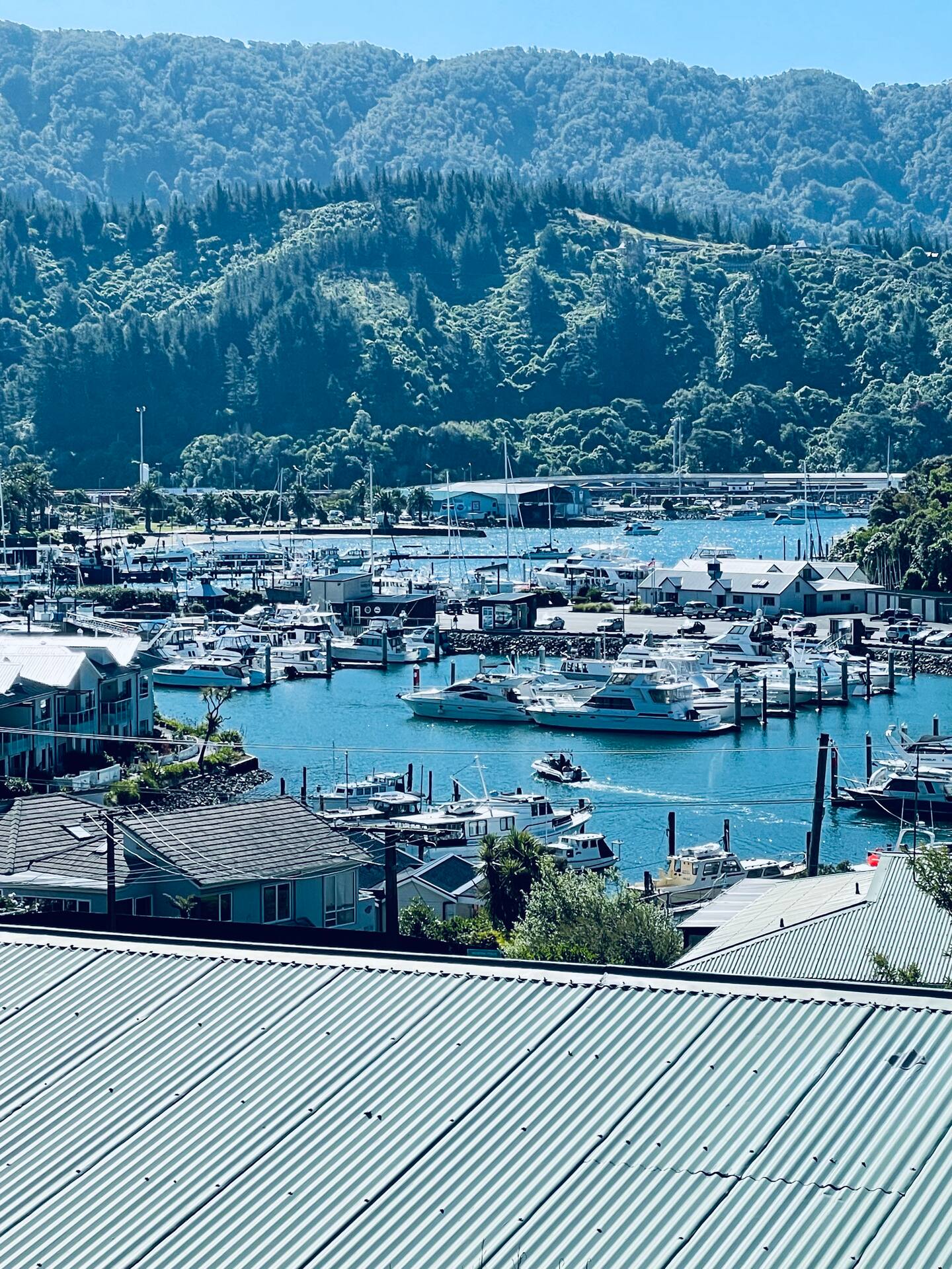 Peaceful Picton Escape 2