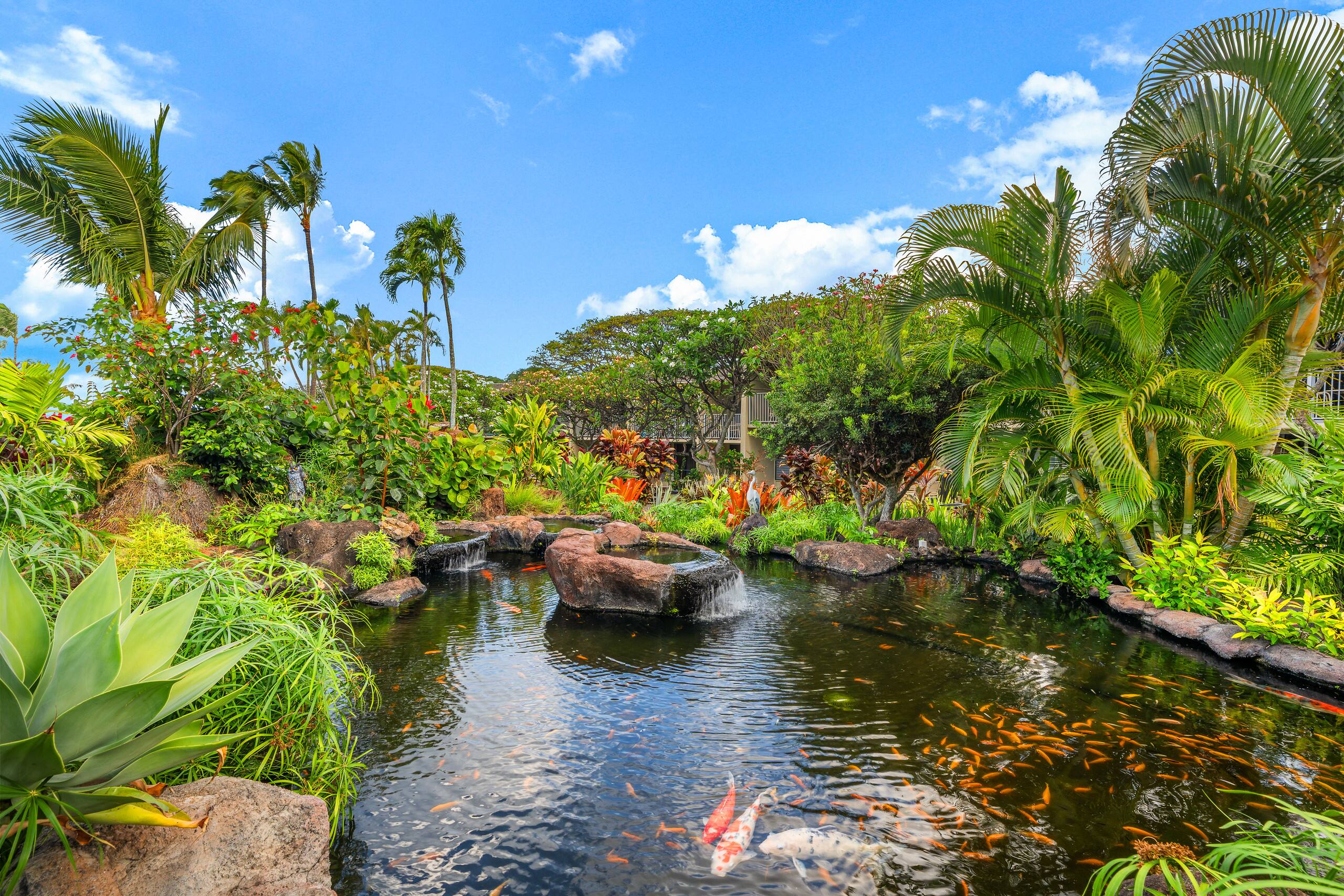 Condo in Lahaina · ★4.2 · 1 bedroom · 2 beds · 1 bath - Image 24