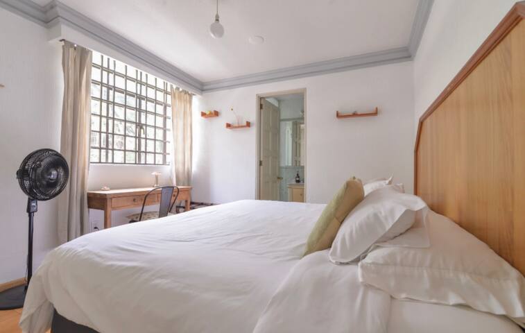 Art Deco Penthouse Gem in Condesa: 3-BR & More gallery image 5