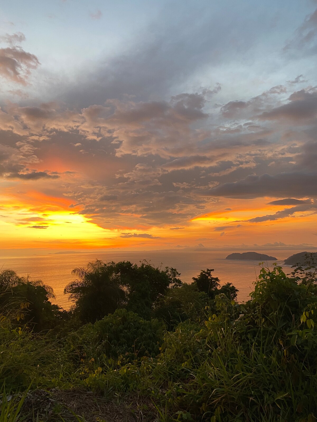 Rumi Magical Rainforest Bamboo House - Cabins for Rent in Jaco