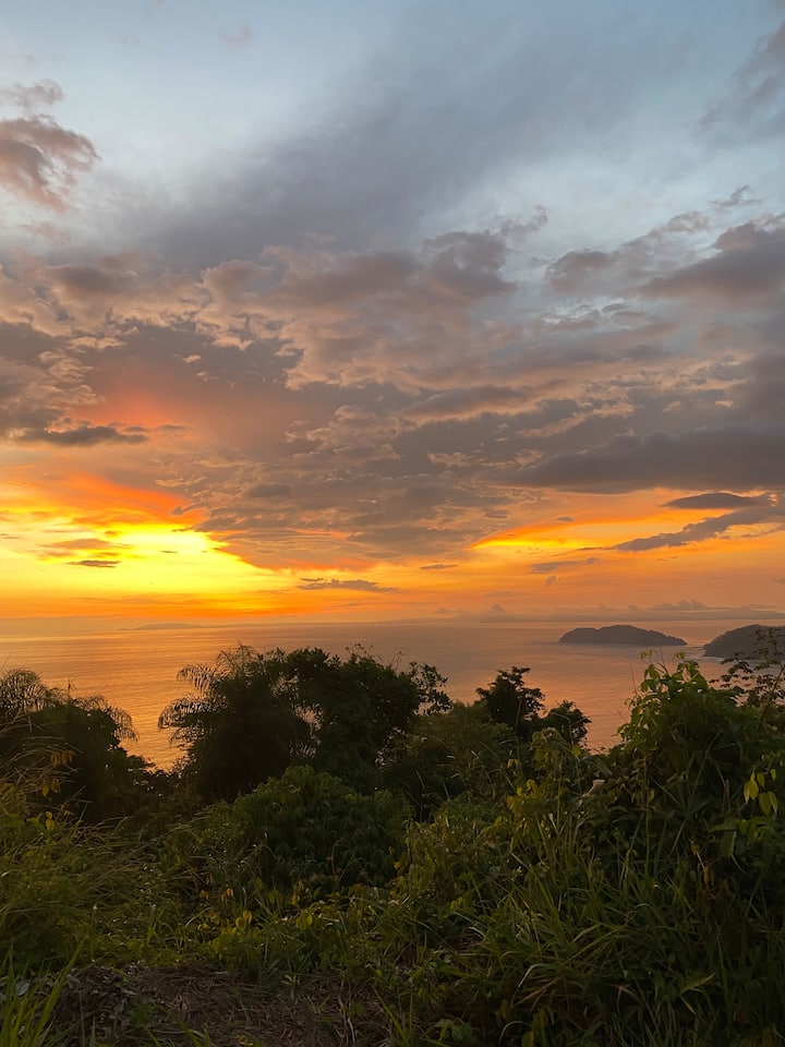 Rumi Magical Rainforest Bamboo House - Cabins for Rent in Jaco