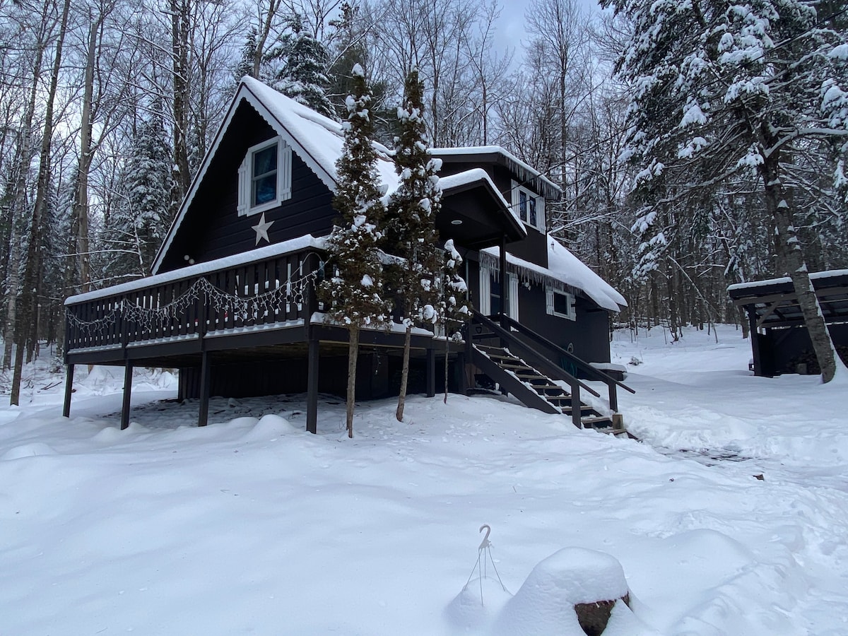 A charming chalet is nestled in a snowy landscape, surrounded by tall trees. The dark exterior contrasts with the white snow, and decorative elements enhance its winter appeal. A covered car garage is visible in the foreground, offering protection from the elements.