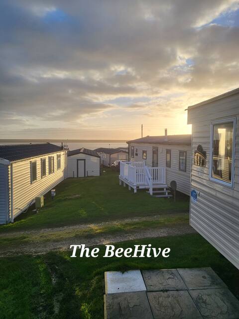 The BeeHive