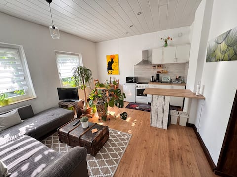 Bright 2-room apartment in Haan (downtown)