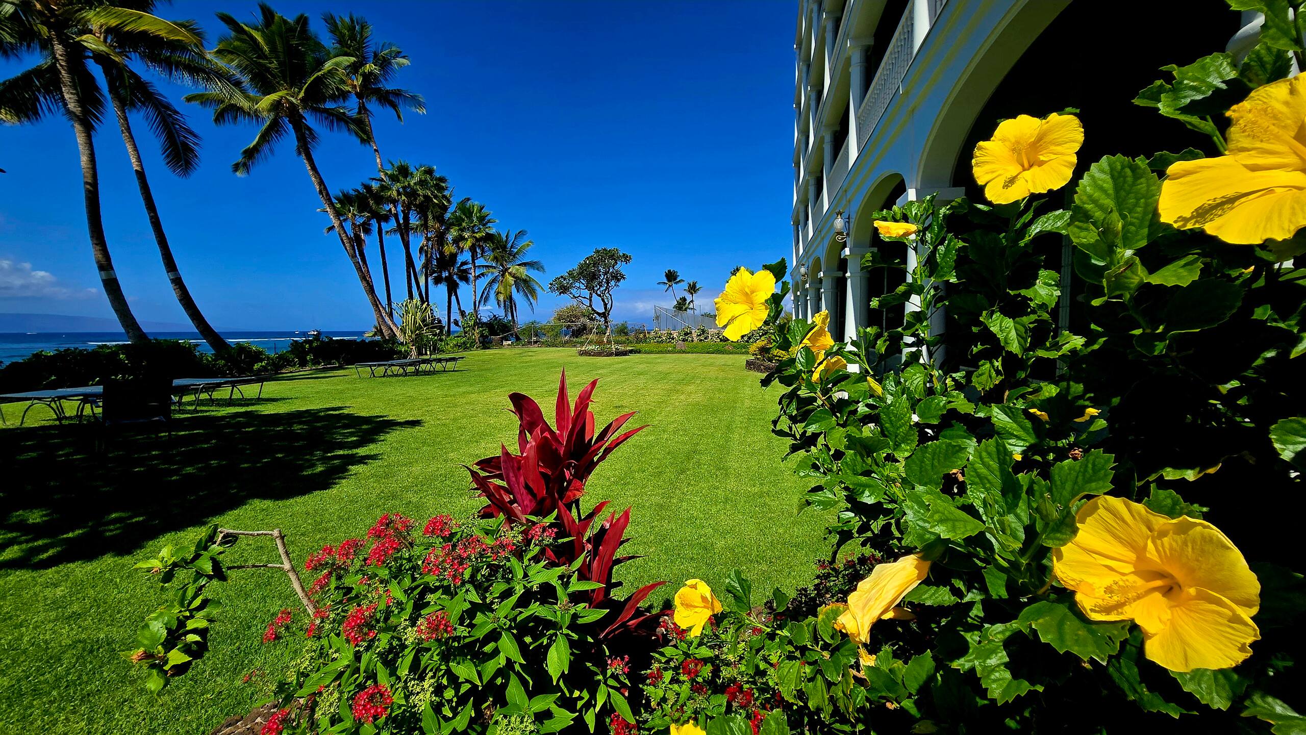 Condo in Lahaina · ★4.97 · Studio · 1 bed · 1 private bath - Image 40