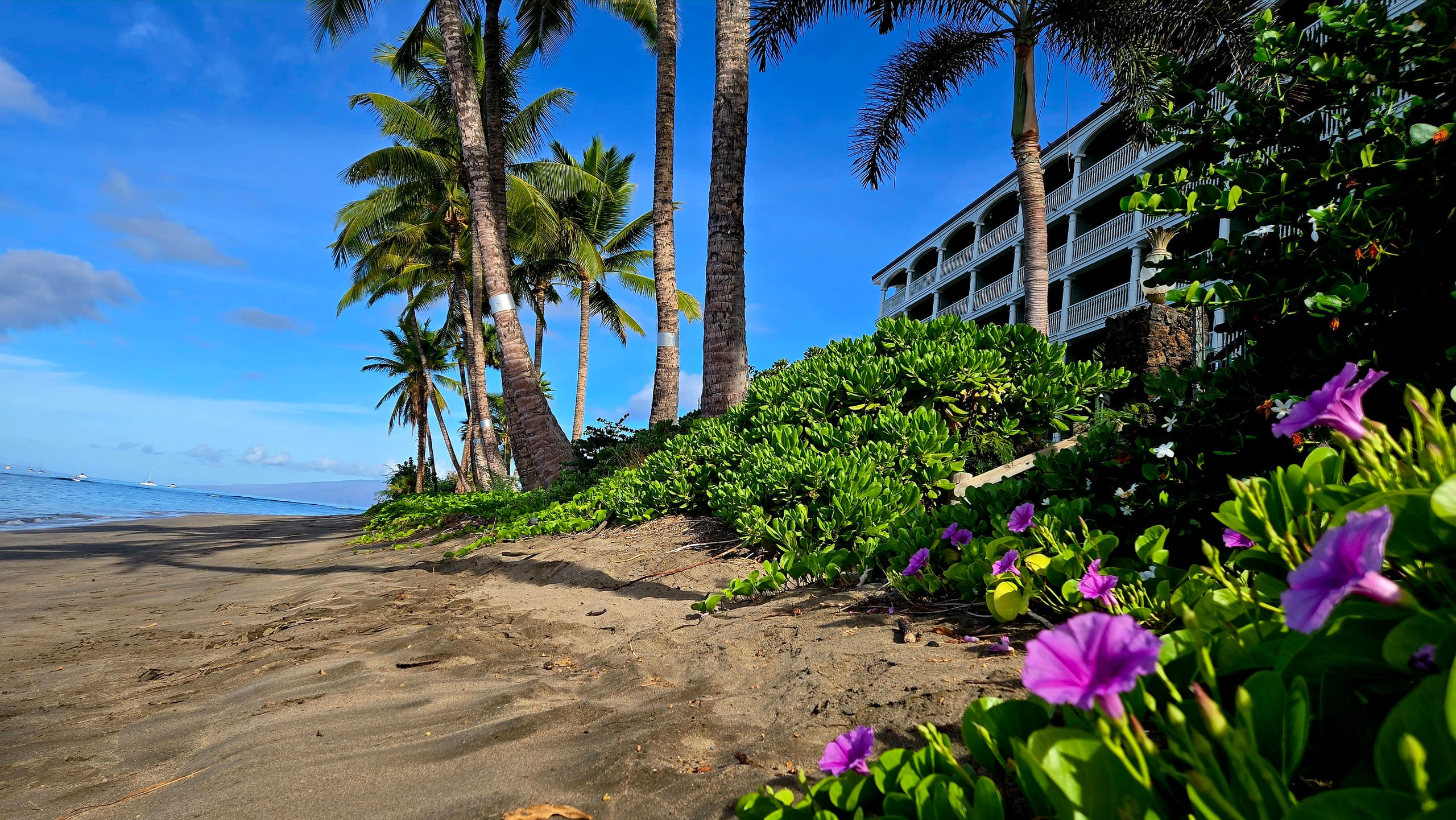 Condo in Lahaina · ★4.97 · Studio · 1 bed · 1 private bath - Image 41