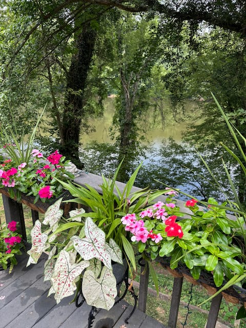 Bourbon Trail Hideaway on the Kentucky River!