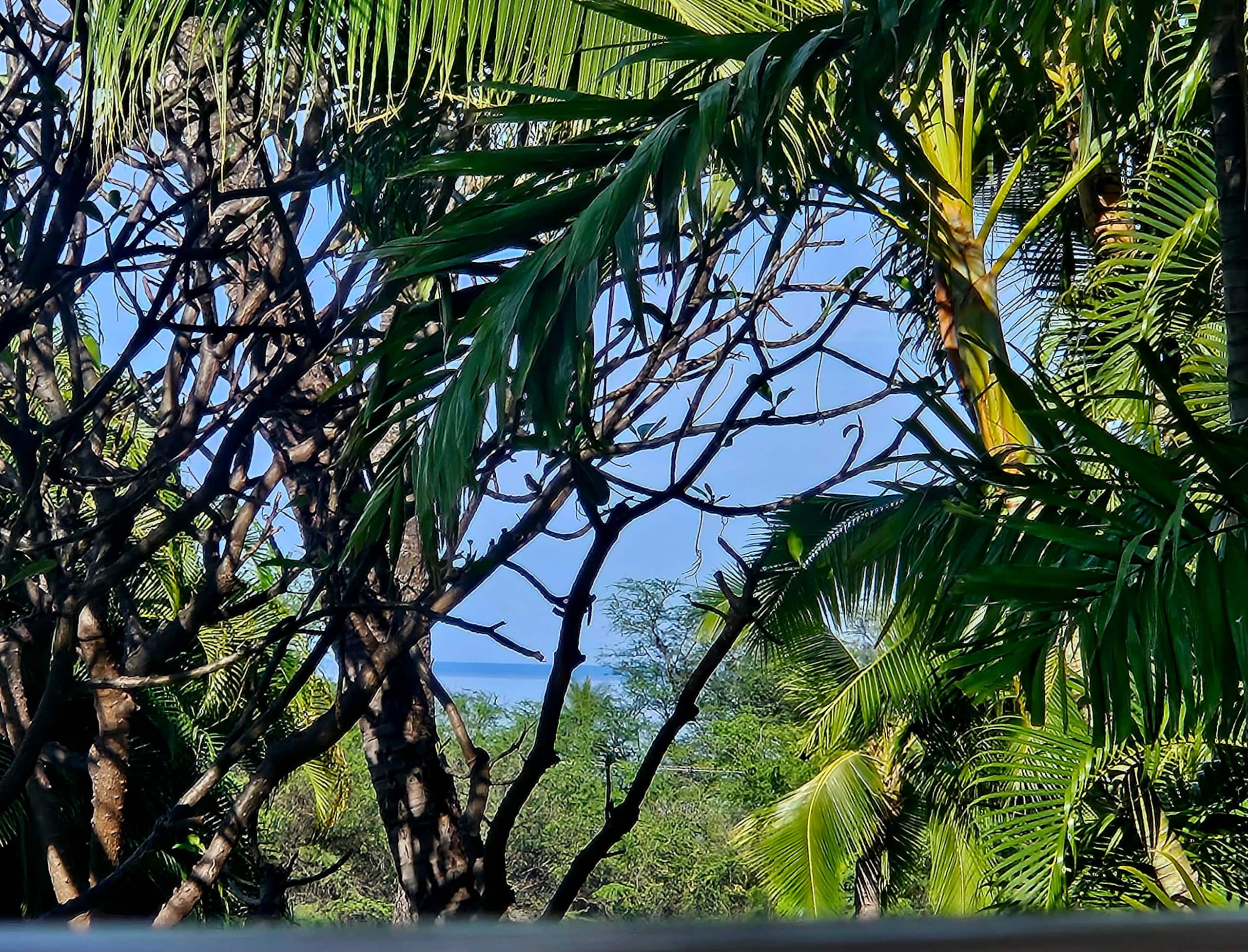 Condo in Kihei · ★4.95 · 1 bedroom · 2 beds · 1 bath - Image 17