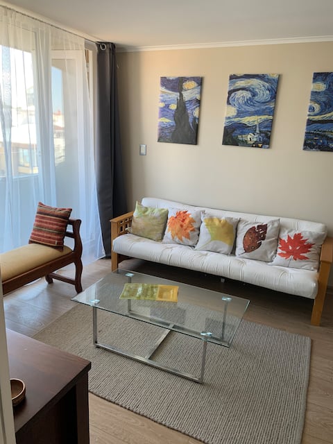 Comfortable and bright center of Osorno since 2 nights
