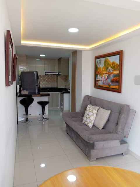 Top performing Airbnb: luxury apartment in Cartago
