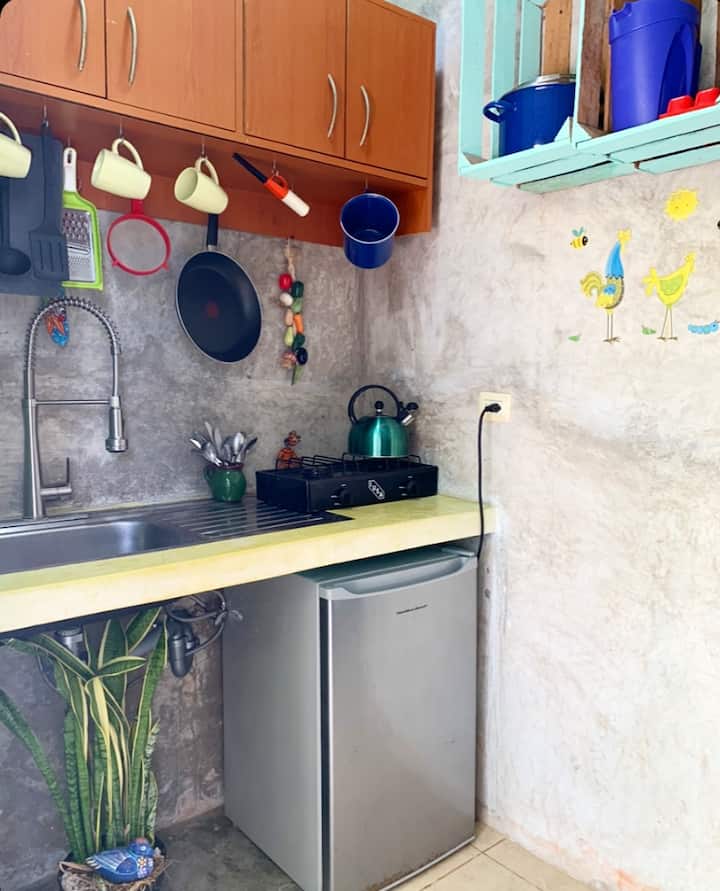 Albacora Cozy Studio; One Block From The Beach - Cozumel