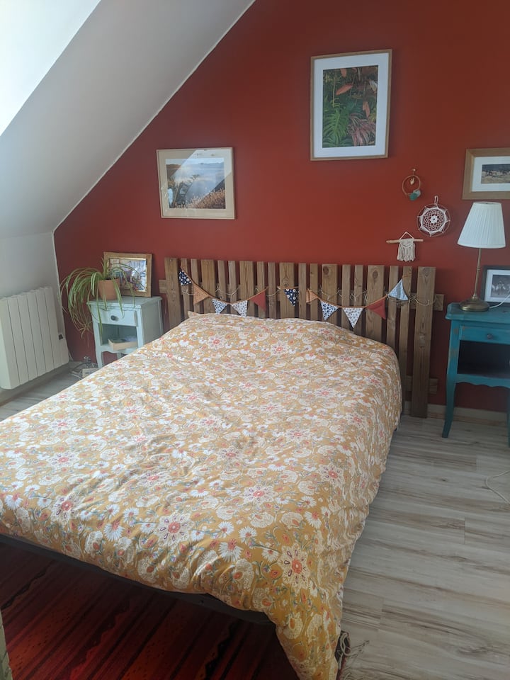 Habitación 1