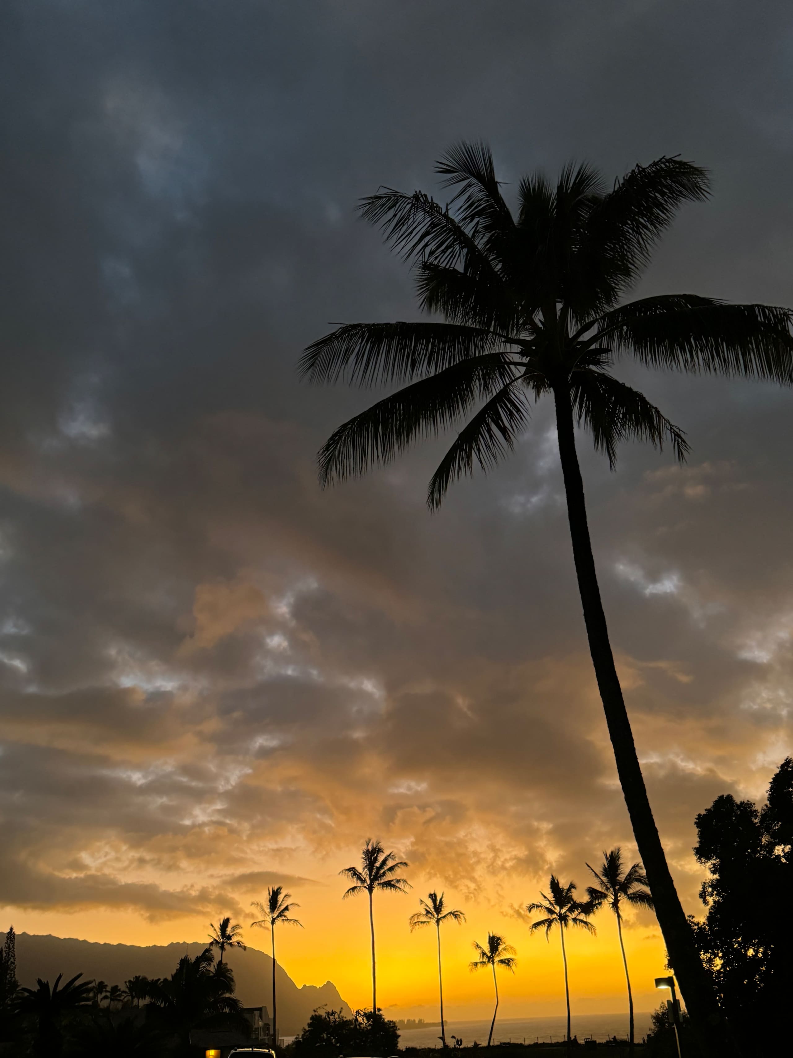 Condo in Princeville · ★4.95 · 1 bedroom · 1 bed · 1 bath - Image 38