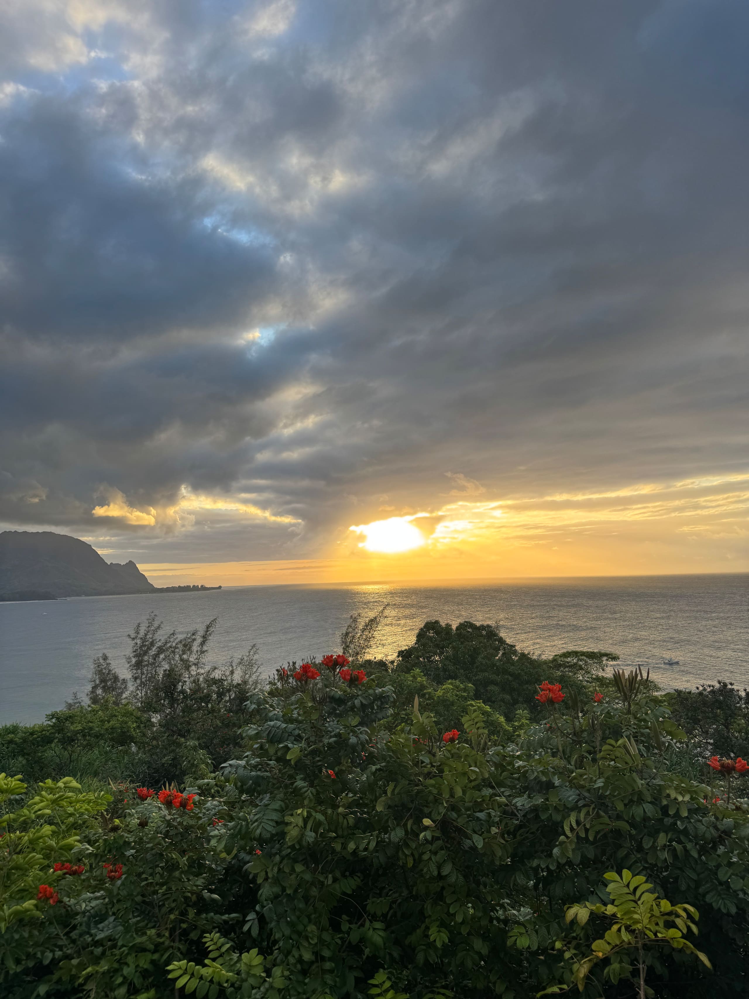 Condo in Princeville · ★4.95 · 1 bedroom · 1 bed · 1 bath - Image 52