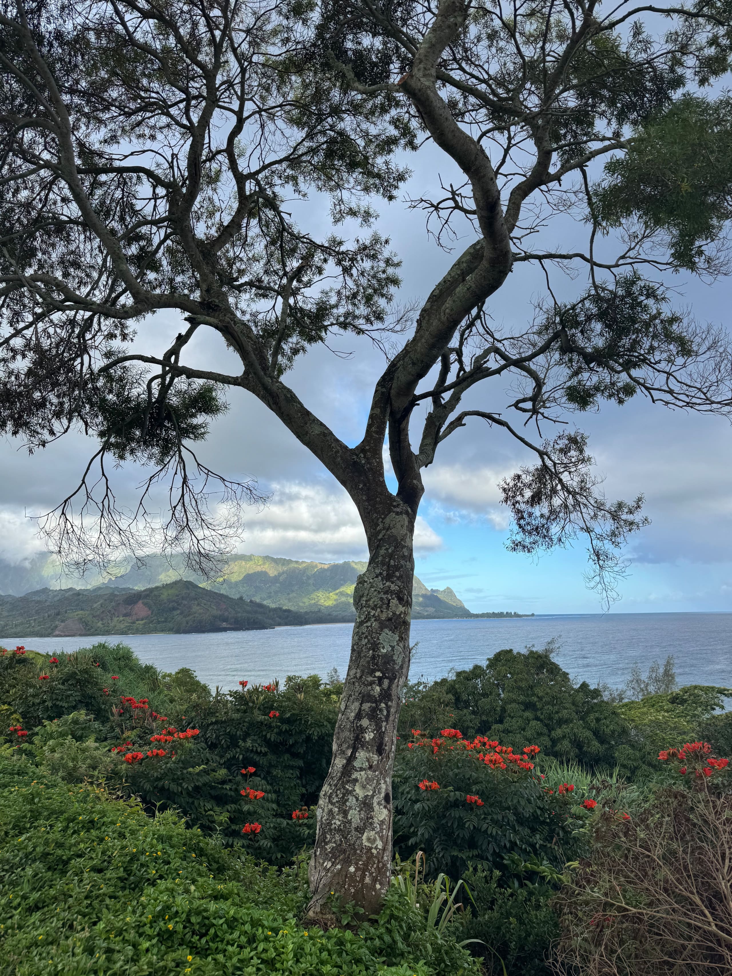 Condo in Princeville · ★4.95 · 1 bedroom · 1 bed · 1 bath - Image 53