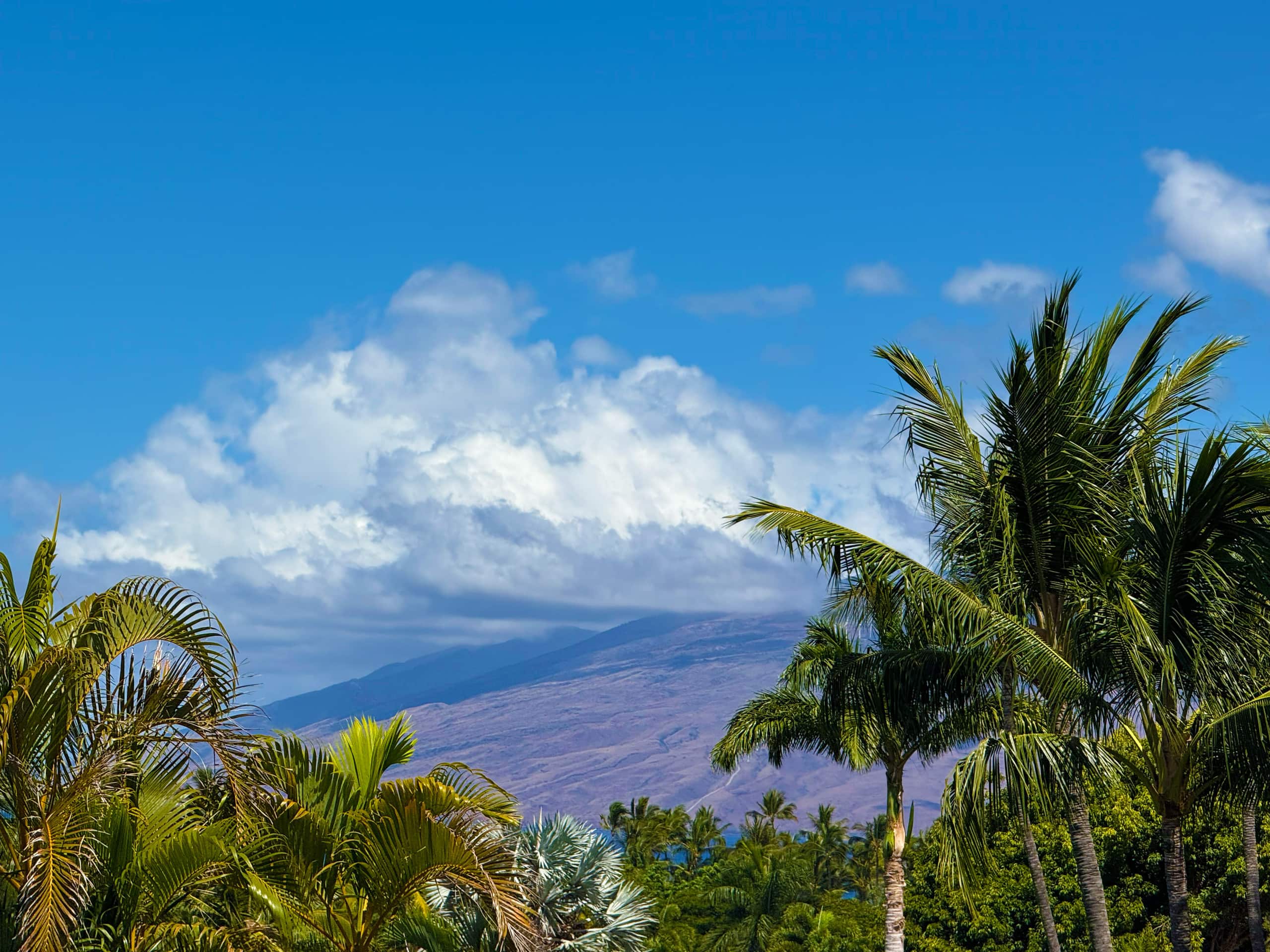 Condo in Kihei · ★4.9 · 2 bedrooms · 4 beds · 2 private baths - Image 38