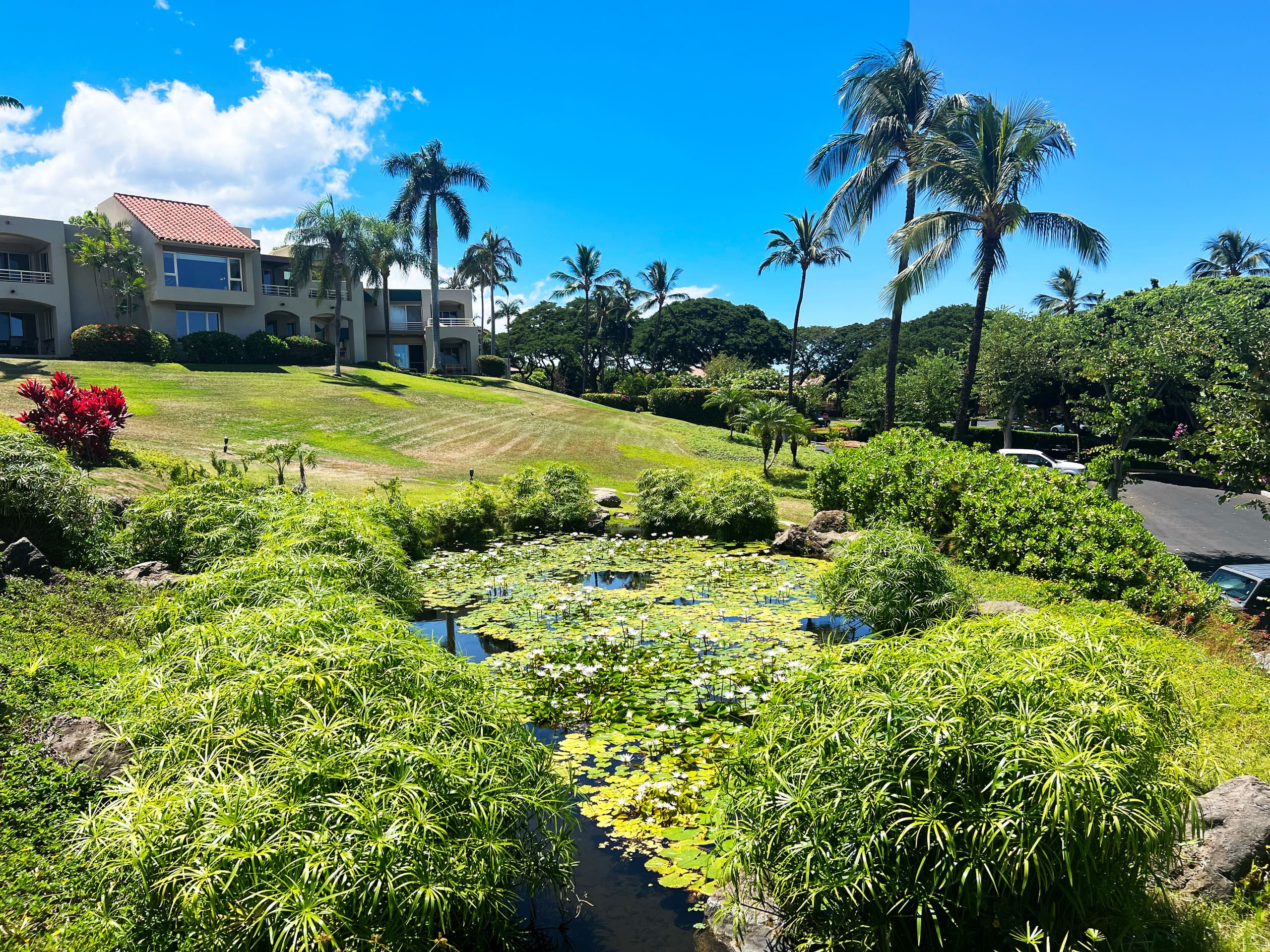 Condo in Kihei · ★4.9 · 2 bedrooms · 4 beds · 2 private baths - Image 29