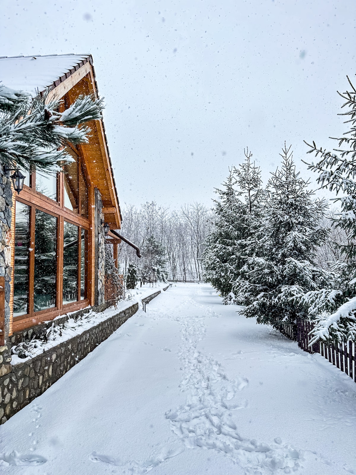A snow-covered path leads to a cottage surrounded by tall evergreen trees. The stone and wood exterior of the building is highlighted by large windows, reflecting the serene winter landscape. Snowflakes fall gently, creating a peaceful atmosphere.