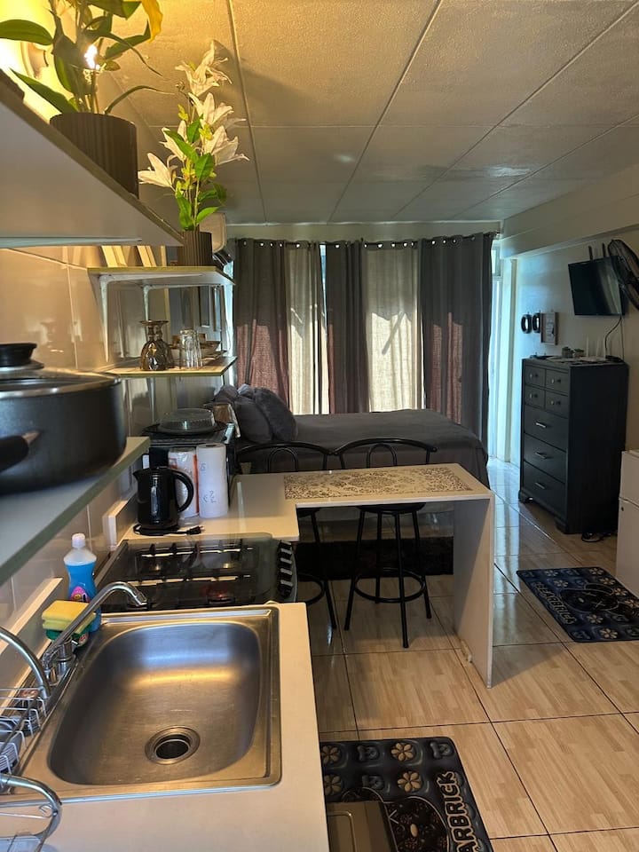 Hidden Gem: Ac, Clean, Tv, City Views & Pkg - Kingston