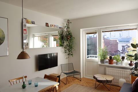 Popular Airbnb listing: Cozy two-bedroom apartment with balcony in Kallio in Alppiharju