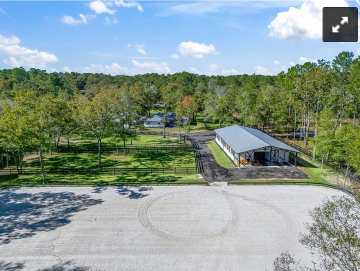 Ocala Horse Farm Scenery