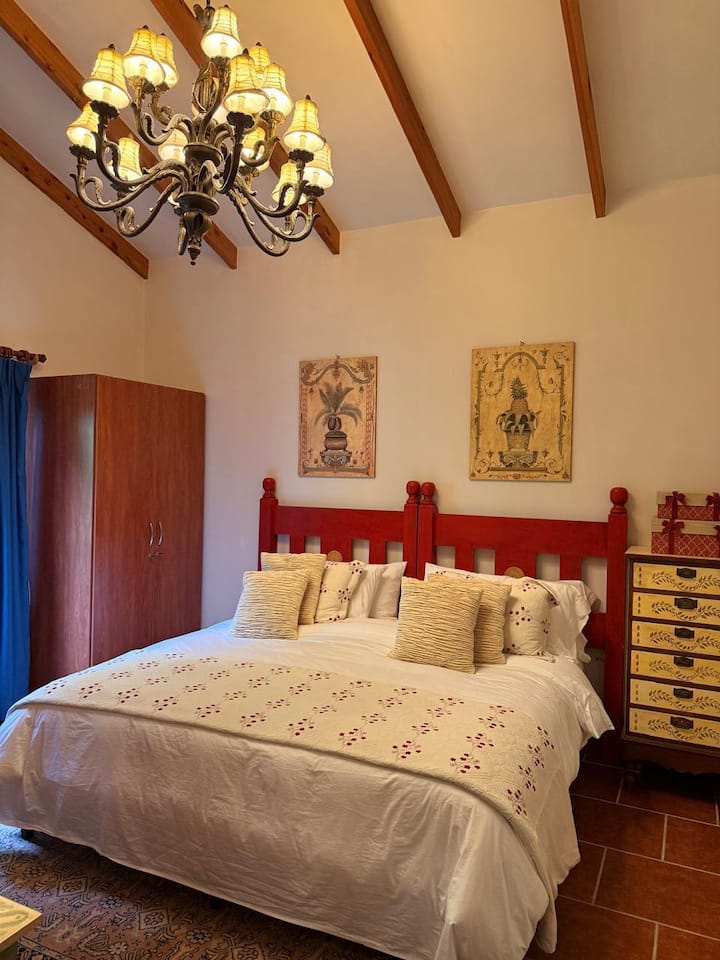 Habitación 6