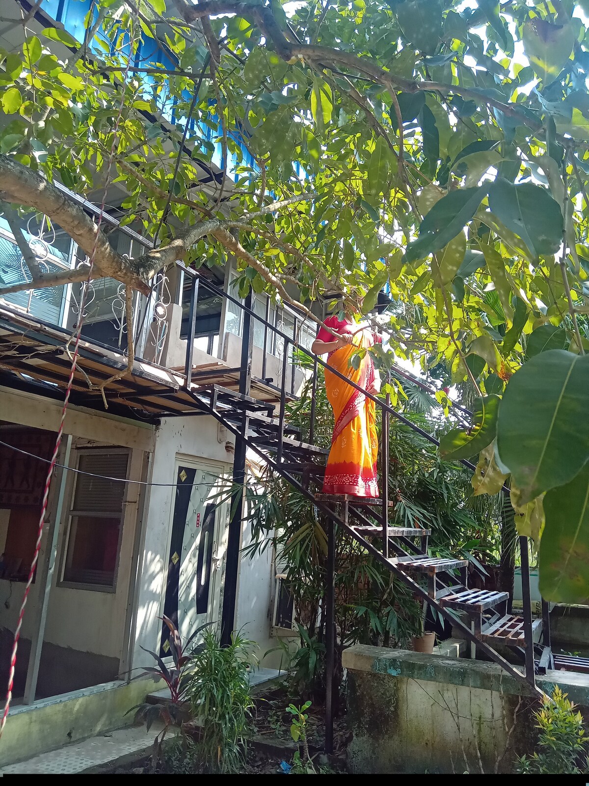 A staircase is surrounded by lush greenery, leading to a covered upper area. A vibrant garment is hanging in the sun, adding a splash of color to the natural setting. Various plants are visible near the base of the stairs and along the building's exterior.