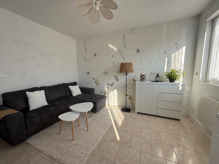 T3 Tout éQuipé Avec Jardin - Troyes