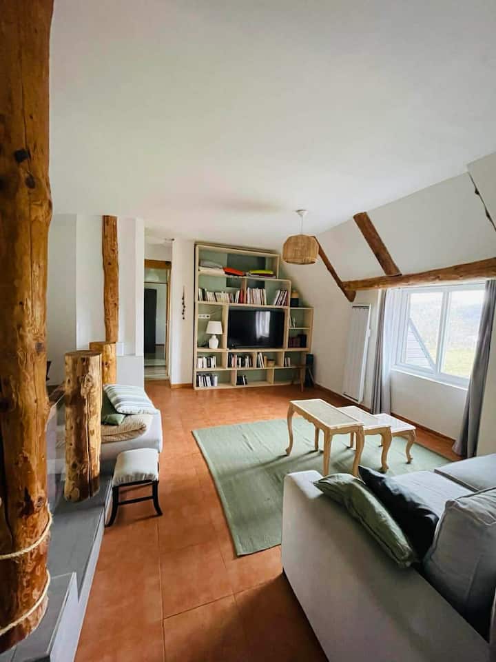 Magnifique Et Paisible Maison En Pierre - Auvergne