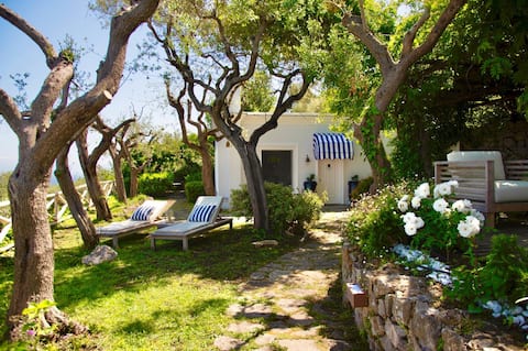 [Seaside villa in Capri] Breathtaking View