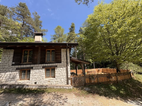 filadonna cabin cin it022236c224me96ag