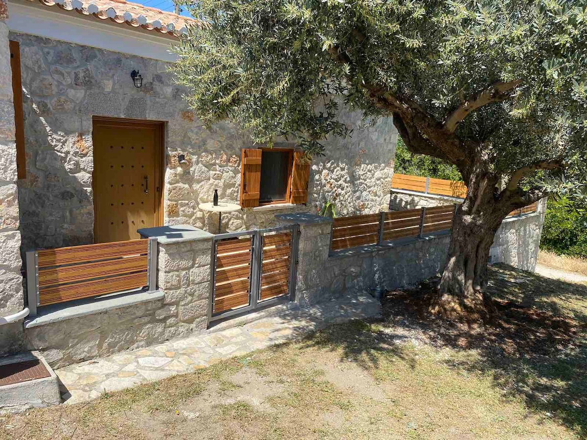 A stone residence is framed by a large olive tree, with wooden accents on the windows and entrance. A low stone wall marks the boundary of the property, and the surroundings feature grass and natural landscaping, contributing to a tranquil outdoor atmosphere.