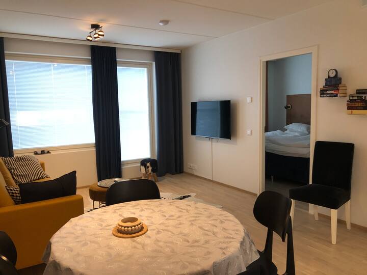 Nordic Nest Toppila 2 Rooms Oulu - Oulu