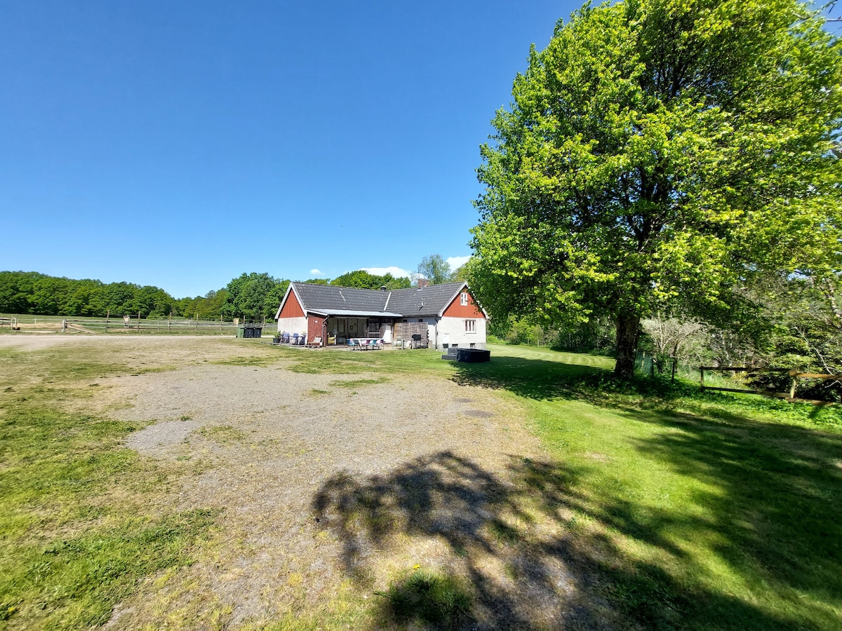 An expansive view of the cottage is presented, showcasing its traditional architecture with a gabled roof and a welcoming porch. Surrounding the house, a large grassy area is complemented by a mature tree, offering shade. The property is bordered by lush greenery, enhancing the tranquil atmosphere.