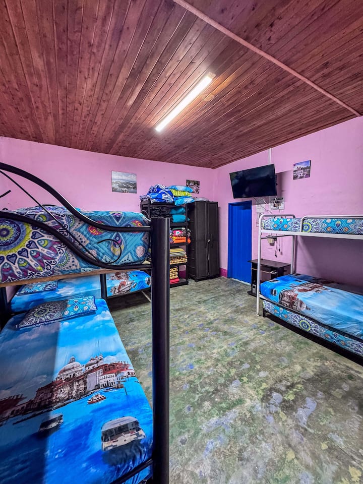 Habitación 1