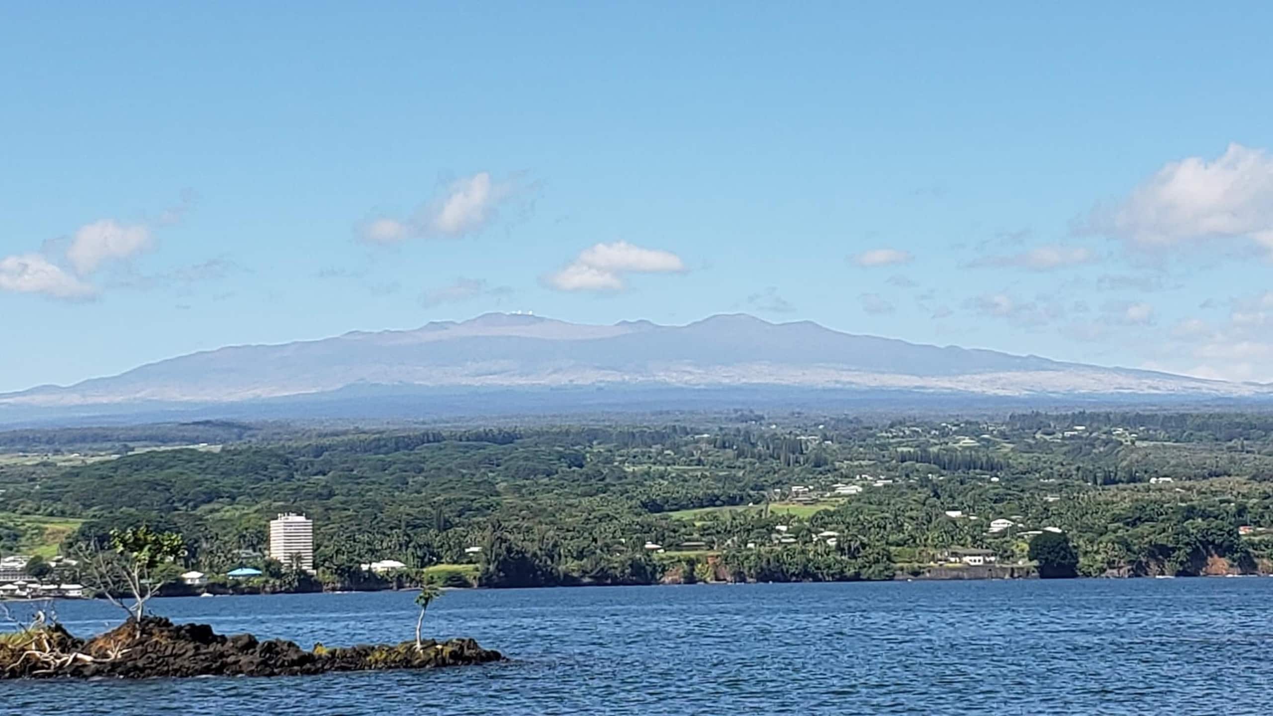 Guesthouse in Hilo · ★5.0 · Studio · 1 bed · 1 bath - Image 16