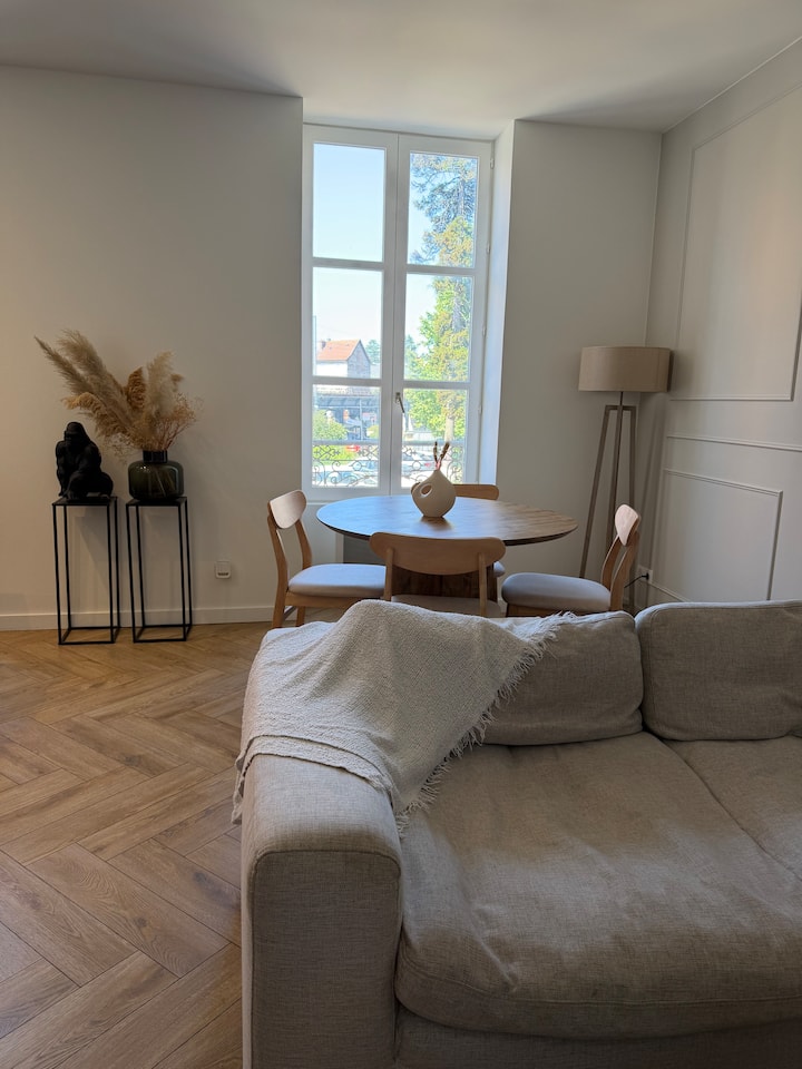 Voiron : Joli Appartement Style Loft Hyper Centre - Voiron
