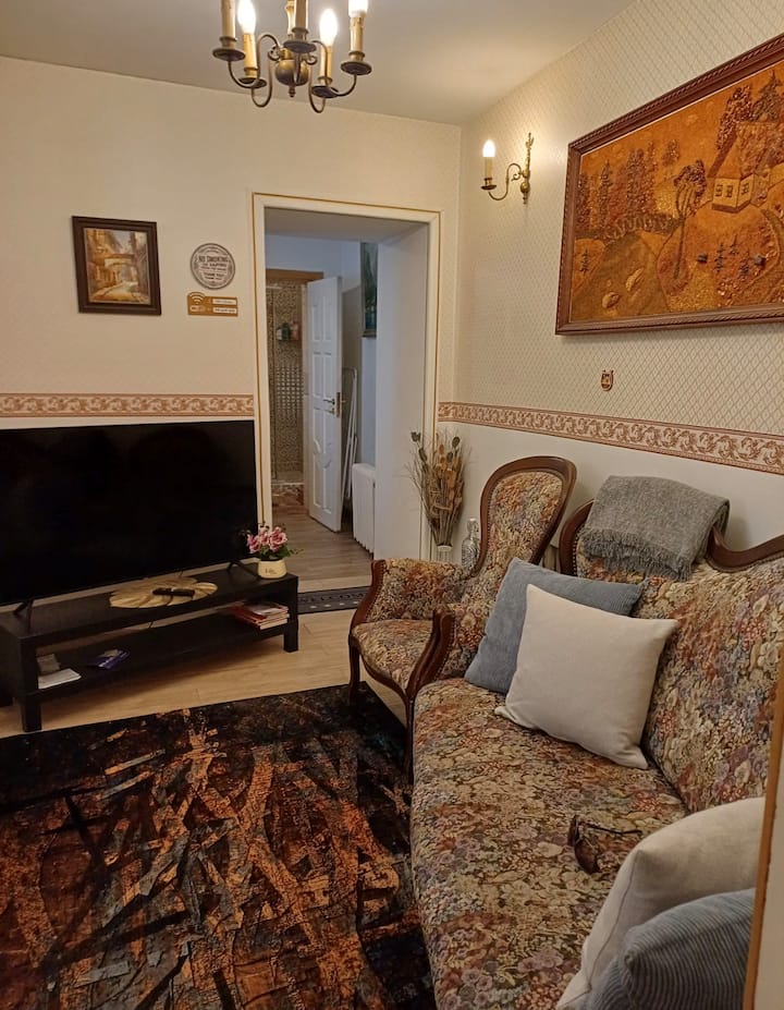 One Bedroom Rental Unit In The Heart Of   Vilnius. - Vilna
