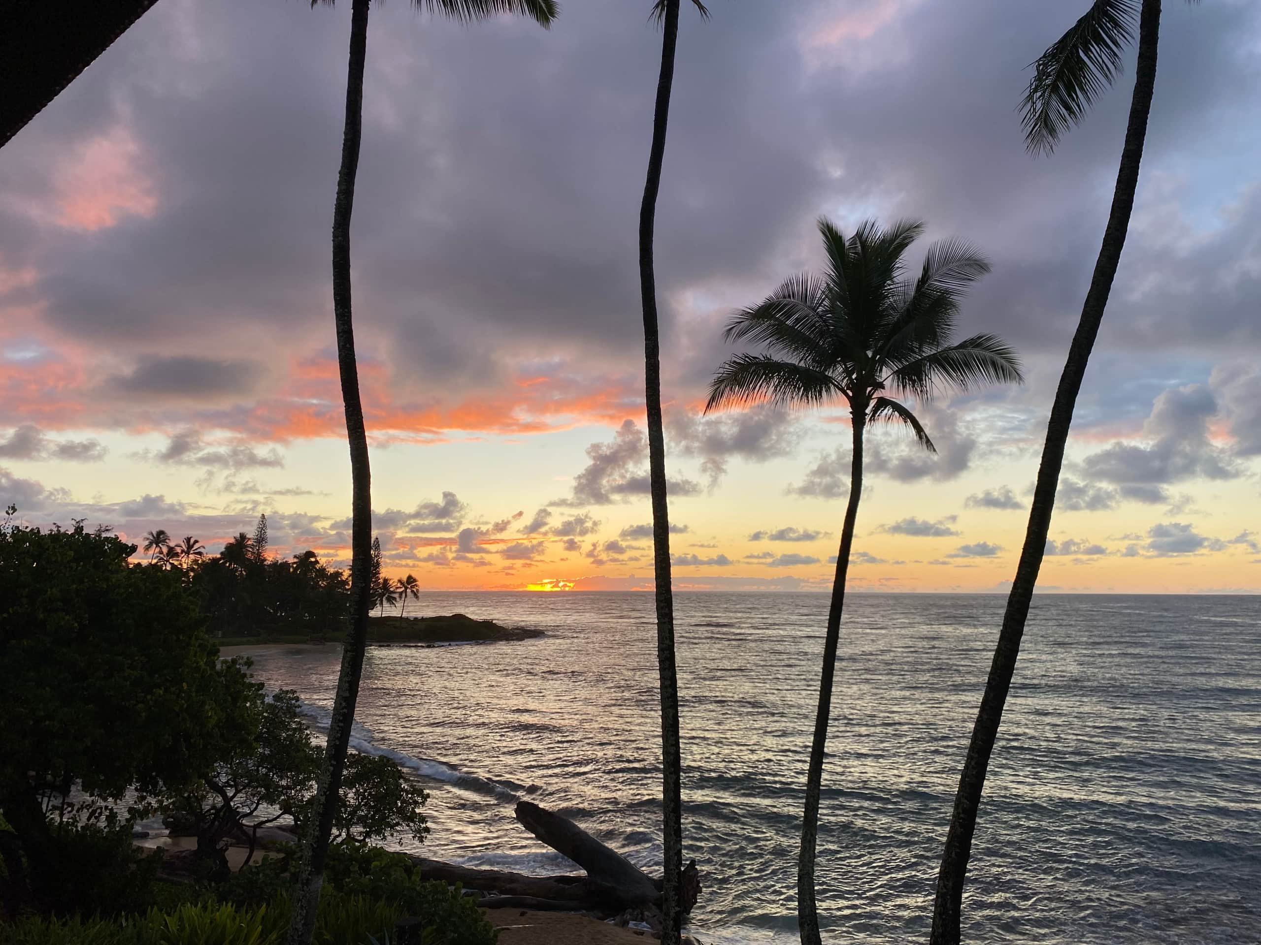 Home in Kapaa · ★5.0 · 2 bedrooms · 4 beds · 2 baths - Photo 7
