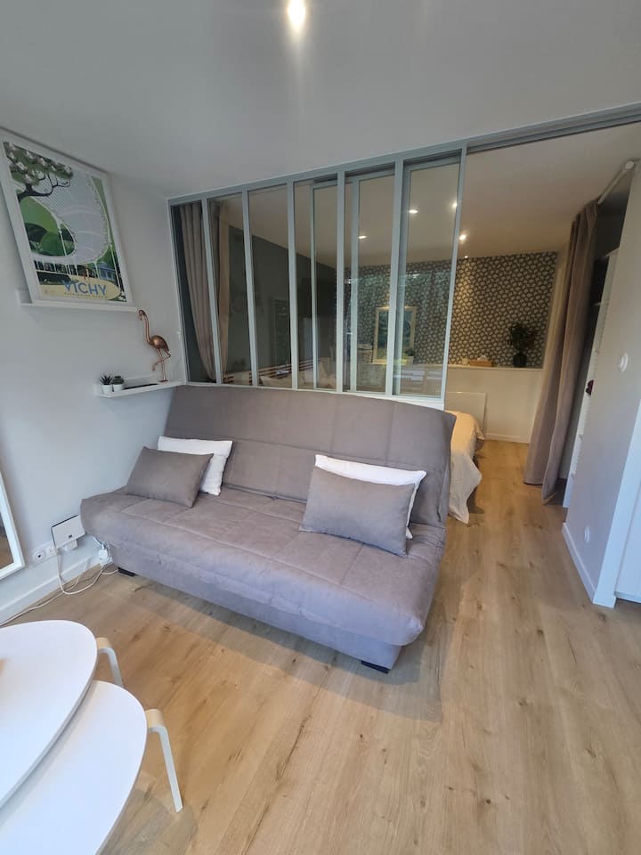 Cosy Appartement Face Aux Parcs - Parking Gratuit - Vichy