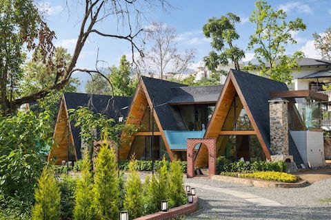 Lush Wild Acres ~ Mussoorie Foothills