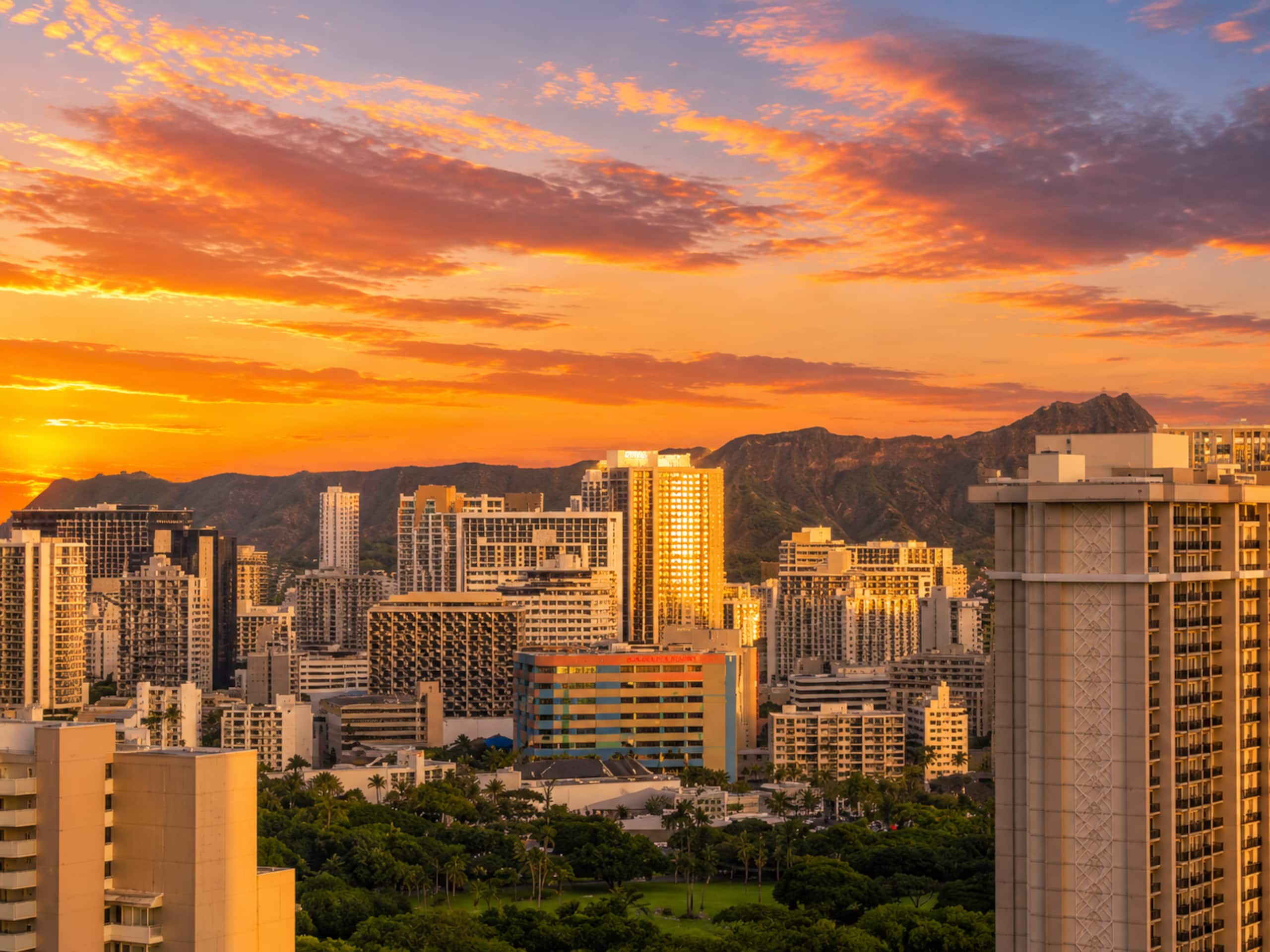 Condo in Honolulu · ★4.93 · 1 bedroom · 2 beds · 1 bath - Image 4