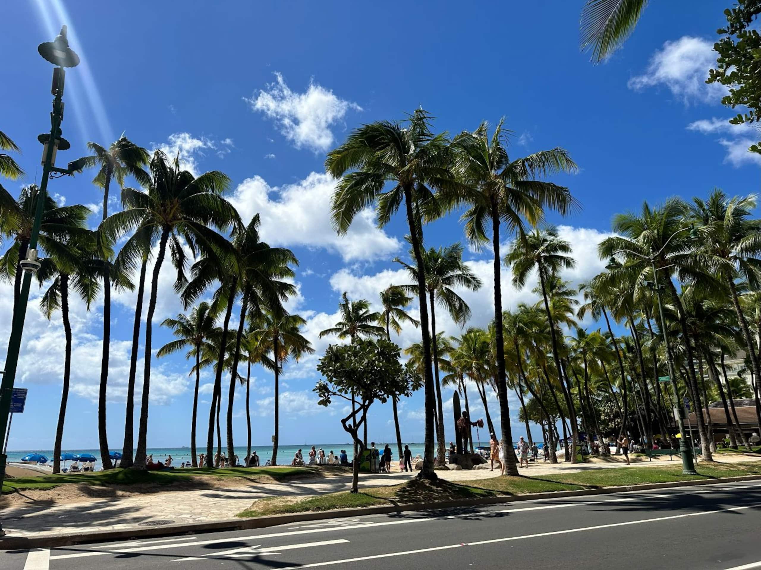 Condo in Honolulu · ★4.91 · Studio · 2 beds · 1 private bath - Image 44
