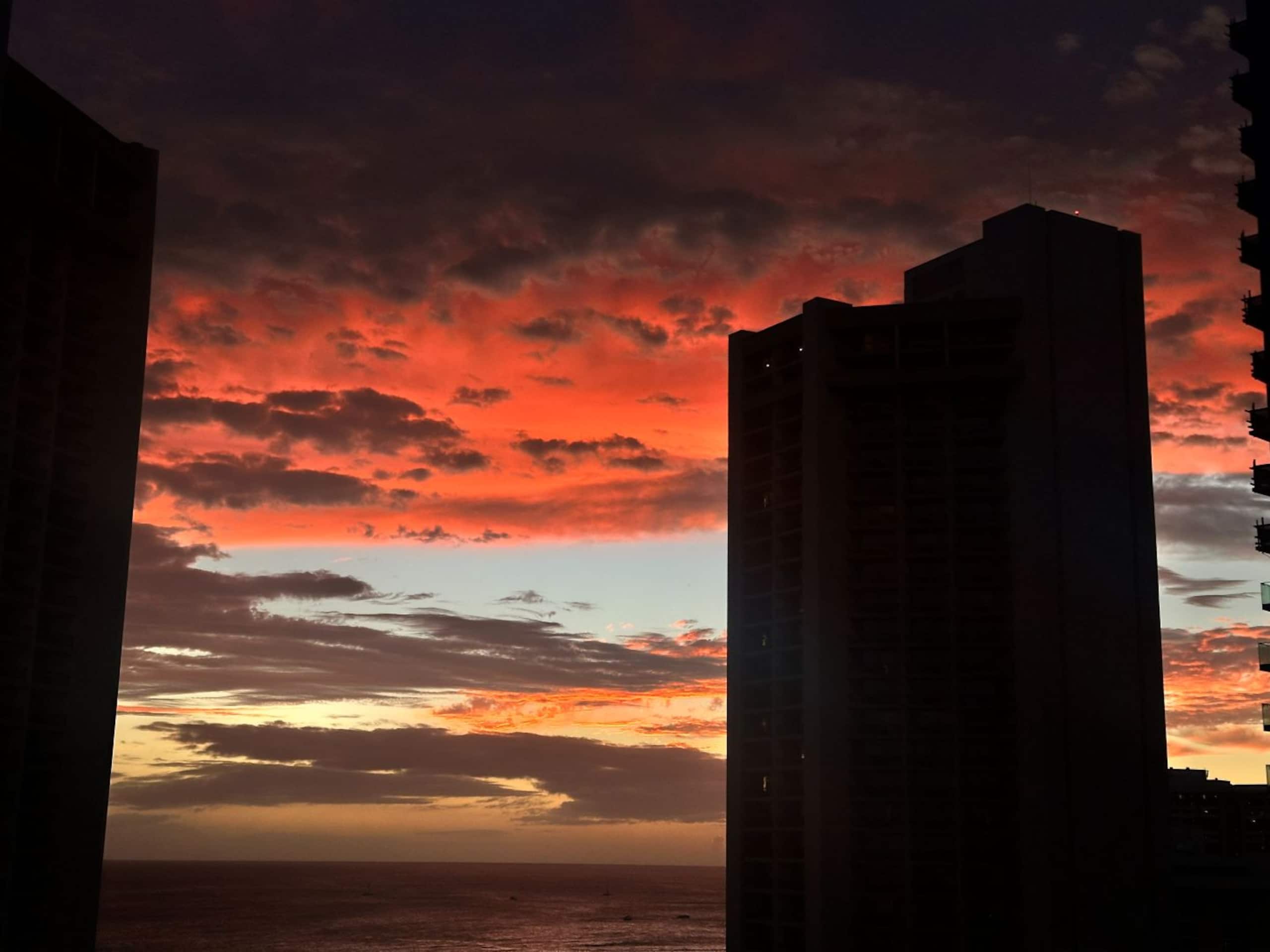 Condo in Honolulu · ★4.91 · Studio · 2 beds · 1 private bath - Image 29