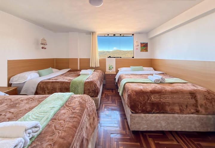 Habitación 1