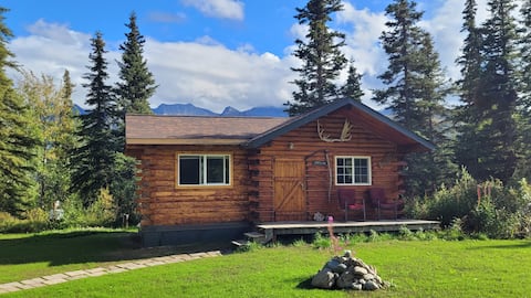Pet friendly Polaris cabin in mountains with view