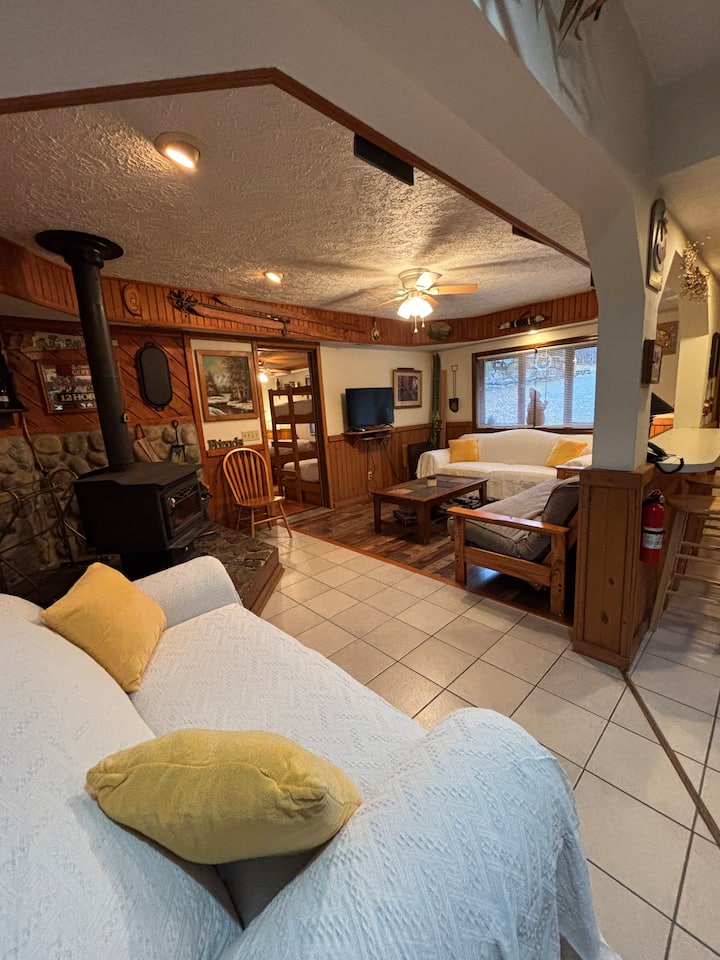 Cozy & Rustic 3 Bdr Chalet W/ Plenty Of Privacy! - Salamanca, NY