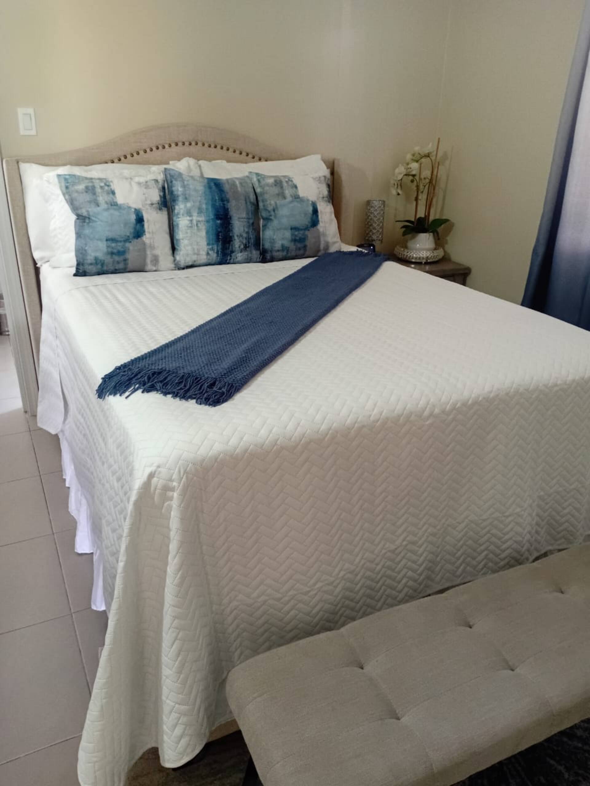 Natty’s Cozy Beach house in Hanover Jamaica — photo 4