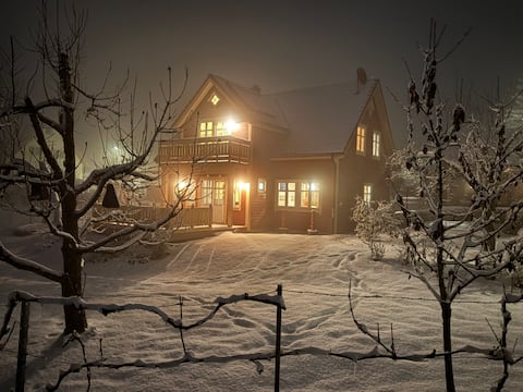 Sattelmannsburg wooden vacation home